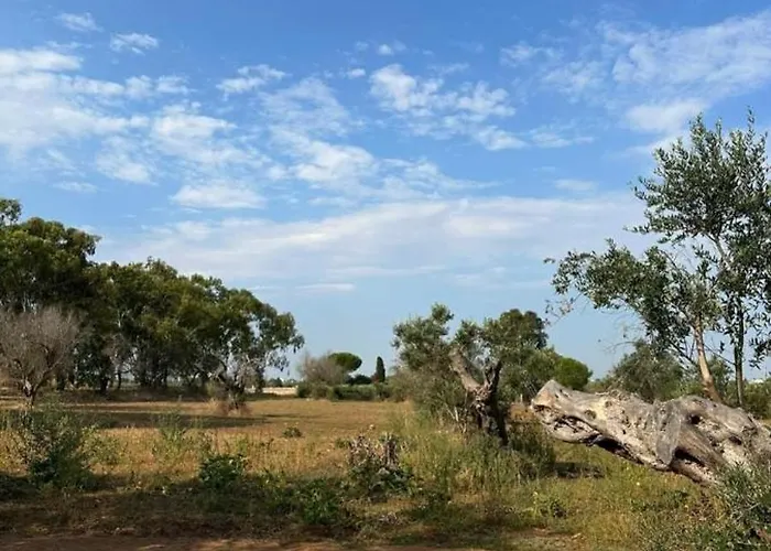 Monolocale Nel Salento Carpignano Salentino